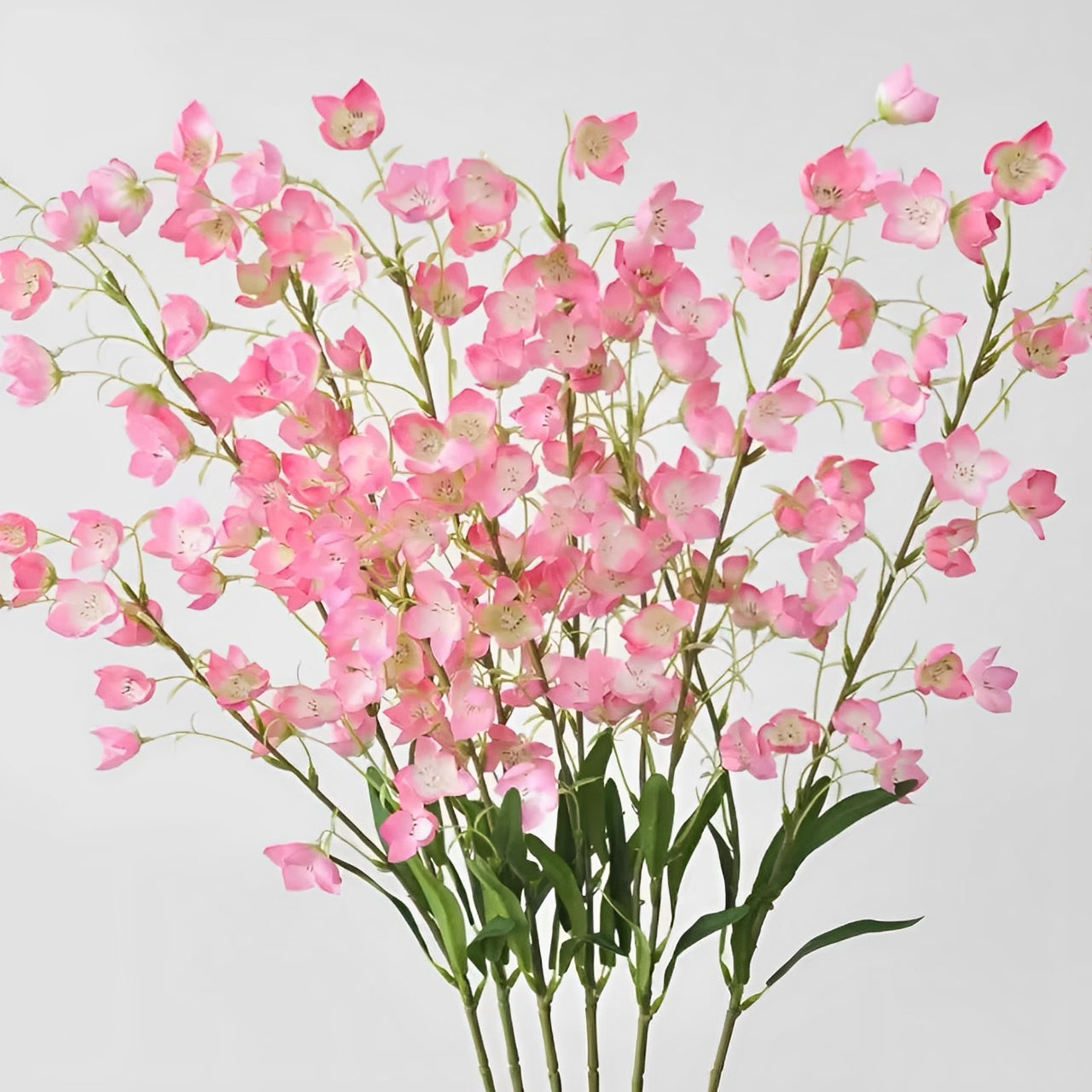 Eustoma - ZIJDE BLOEM