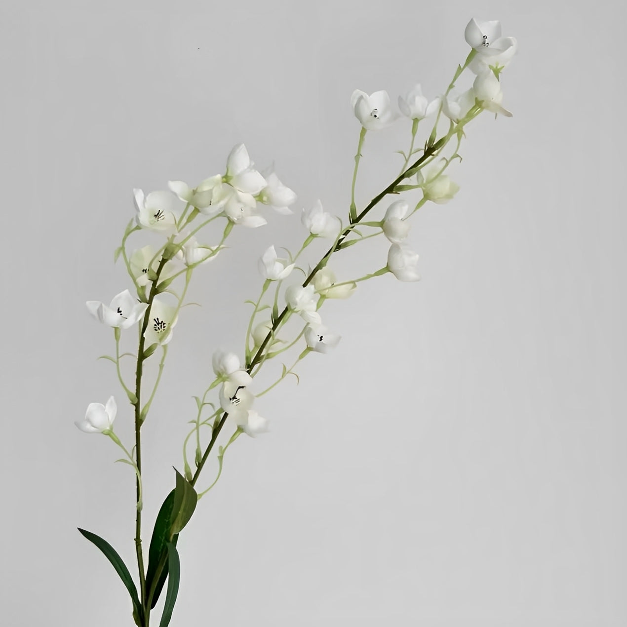 Eustoma - ZIJDE BLOEM