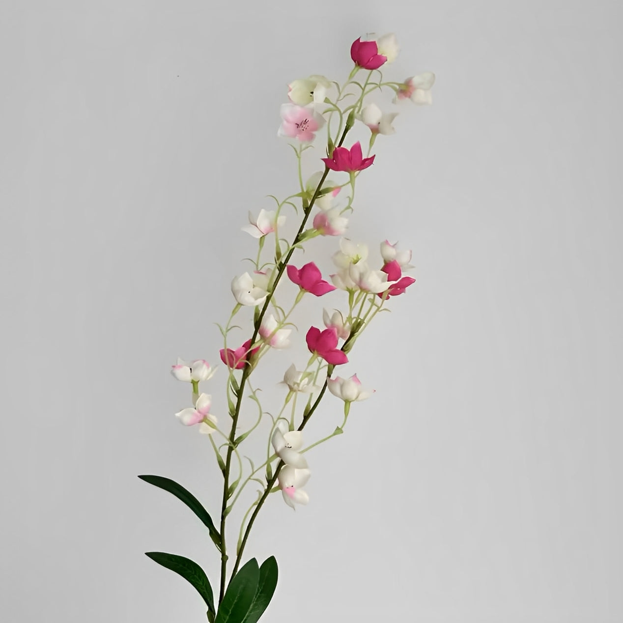 Eustoma - ZIJDE BLOEM