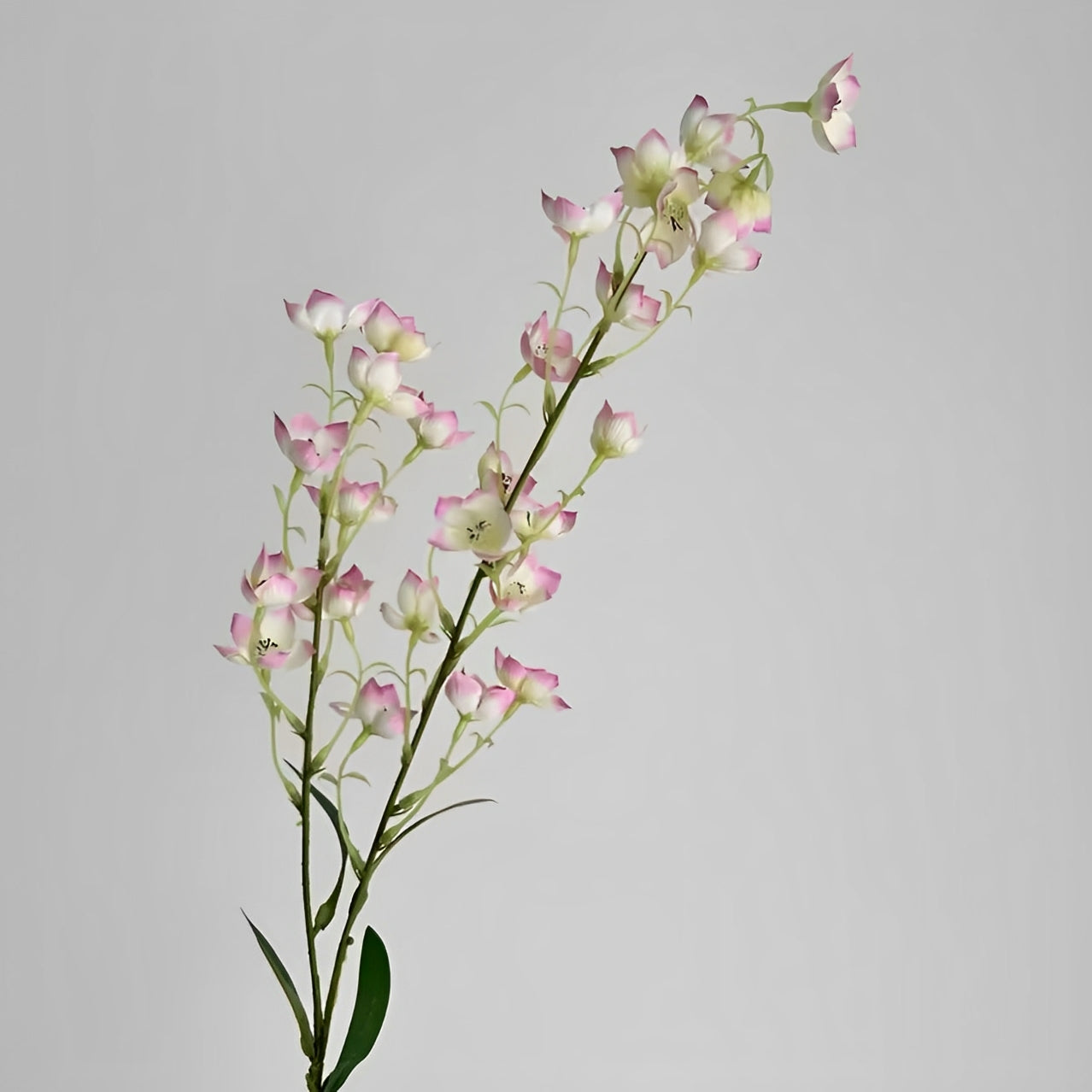 Eustoma - ZIJDE BLOEM