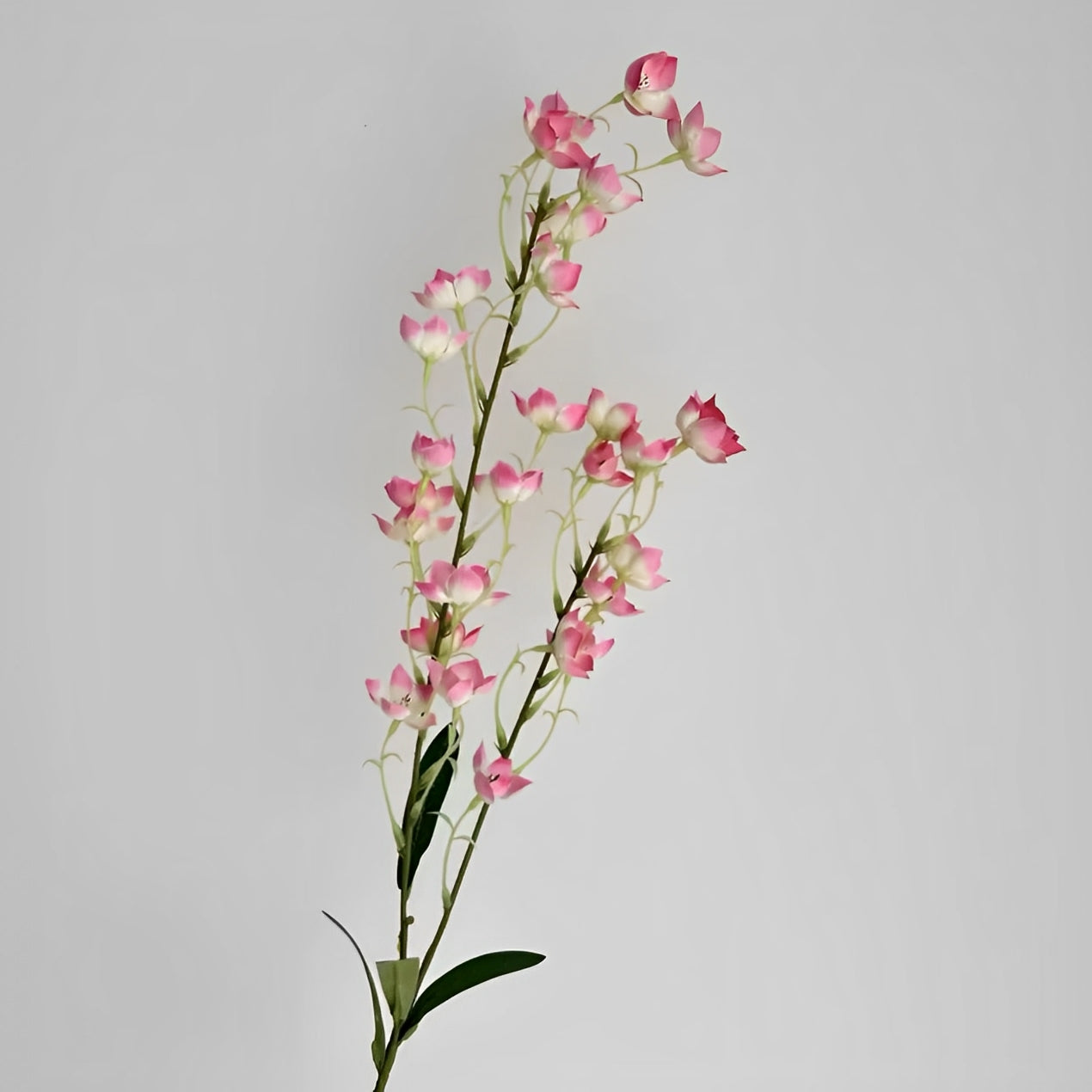 Eustoma - ZIJDE BLOEM