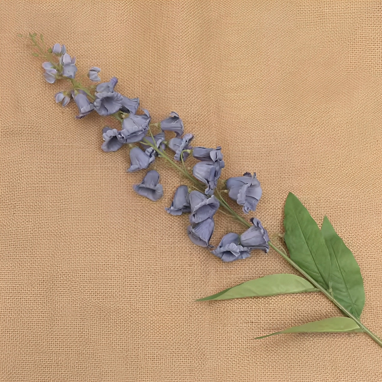 Delphinium - ZIJDE BLOEM