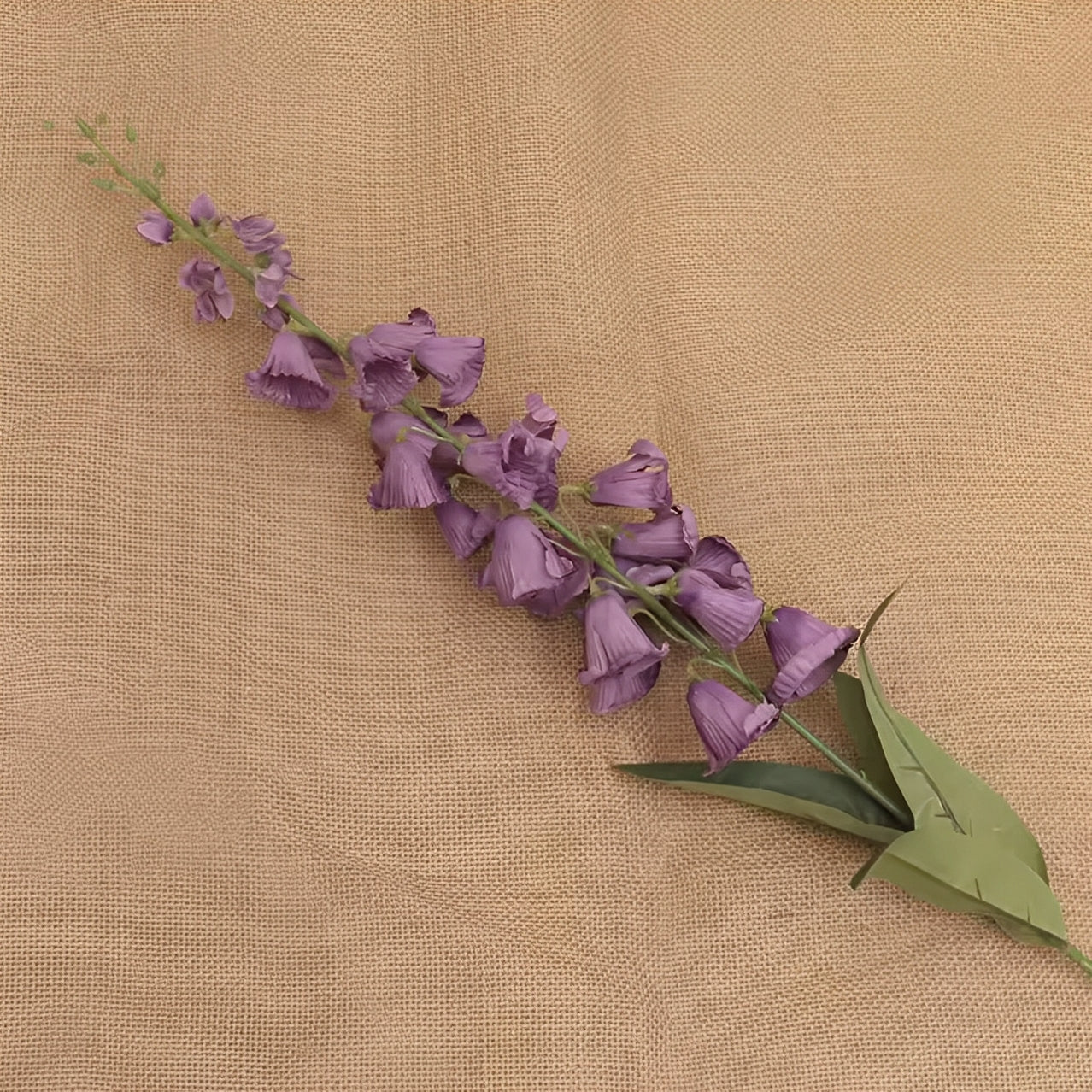 Delphinium - ZIJDE BLOEM
