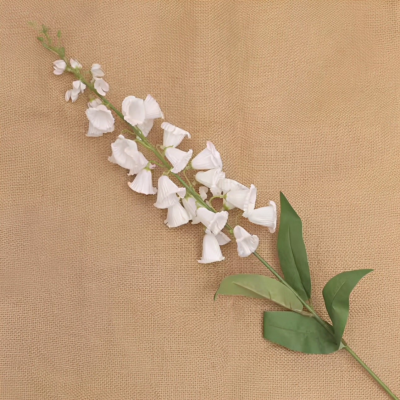 Delphinium - ZIJDE BLOEM