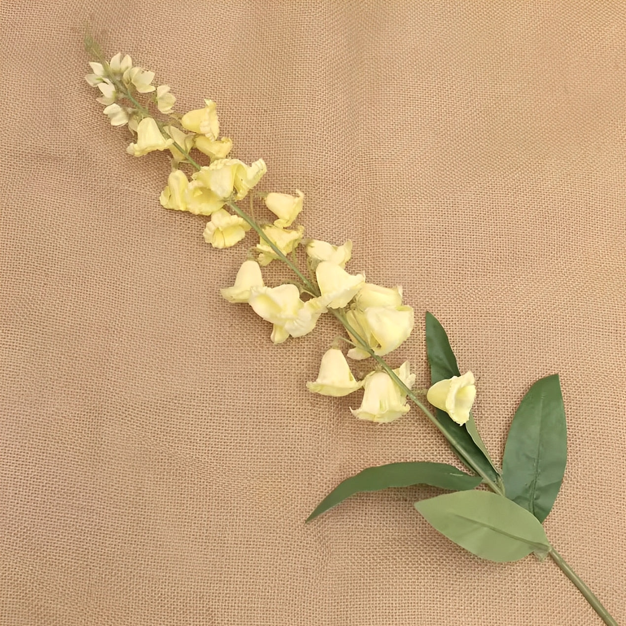 Delphinium - ZIJDE BLOEM
