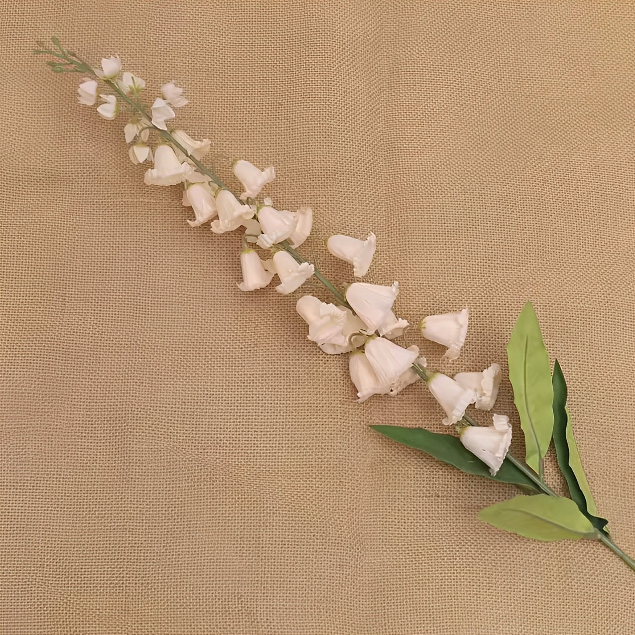 Delphinium - ZIJDE BLOEM