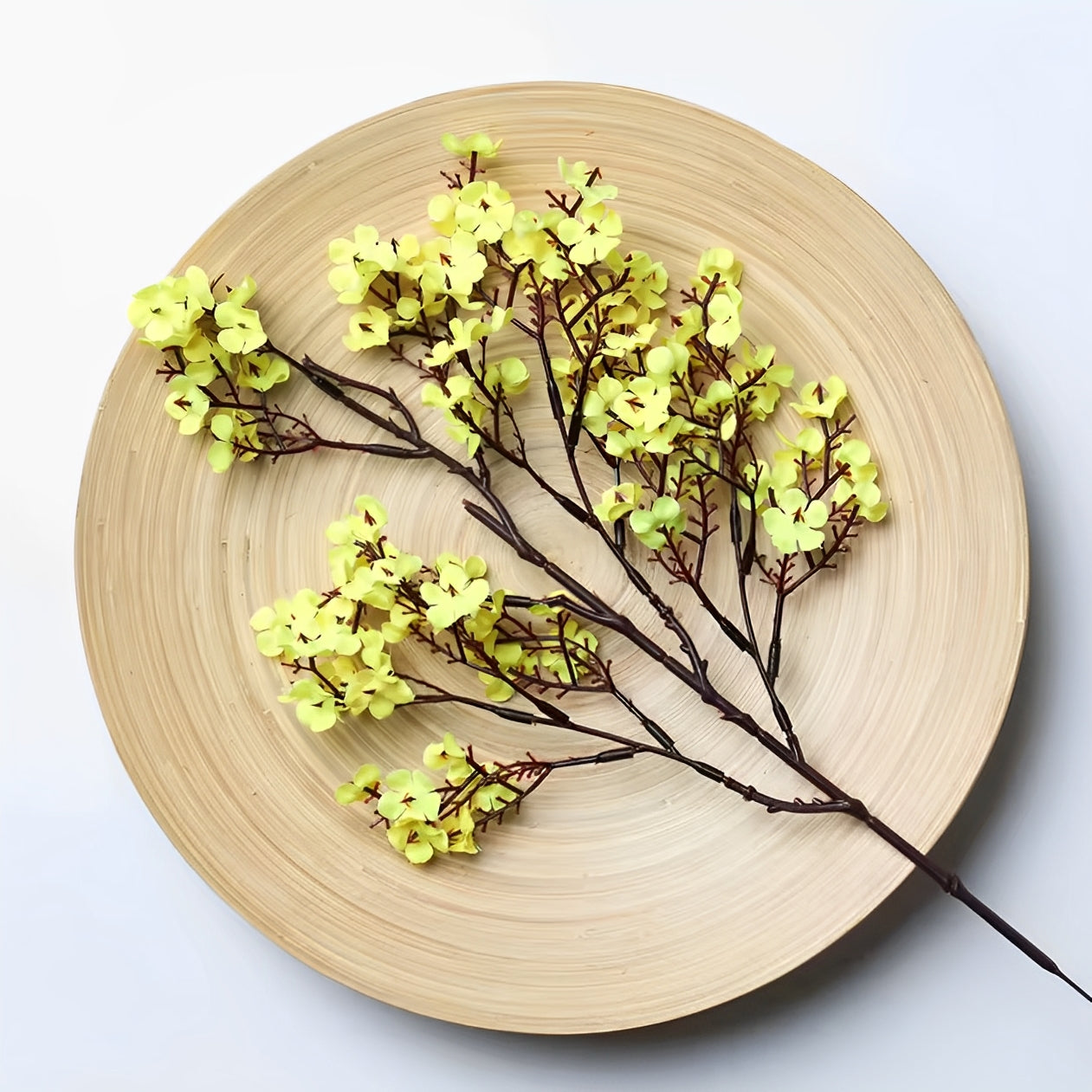Forsythia - ZIJDE BLOEM