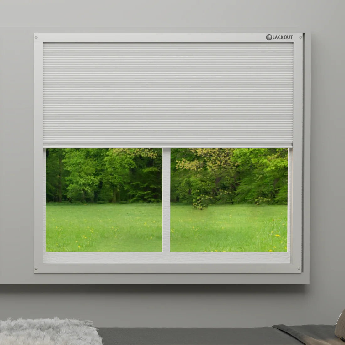 Blinds